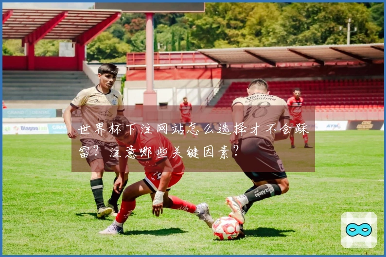 世界杯下注网站怎么选择才不会踩雷？注意哪些关键因素？