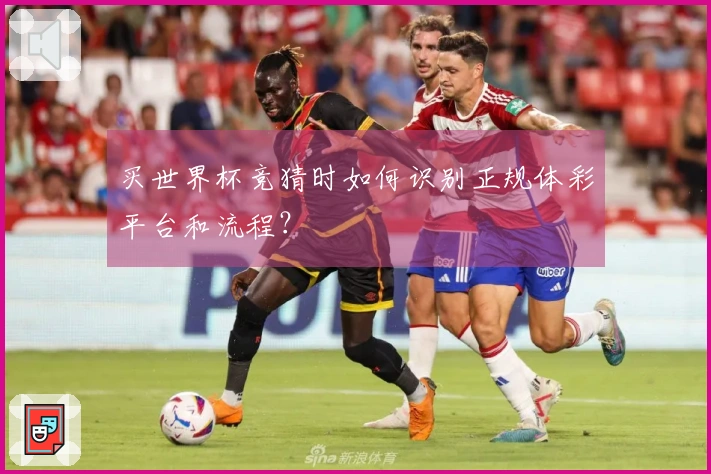 买世界杯竞猜时如何识别正规体彩平台和流程？